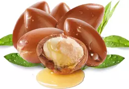 Argan proprieta