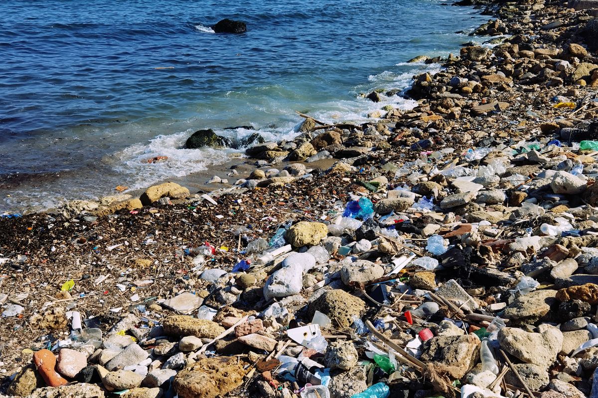 Plastica dispersa lungo la riva