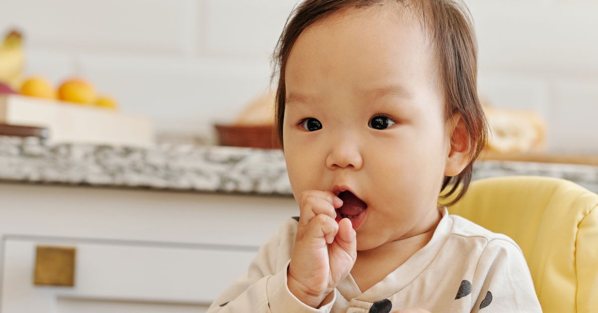 Bambino seduto sul seggiolone mentre mangia una pappa vegetariana